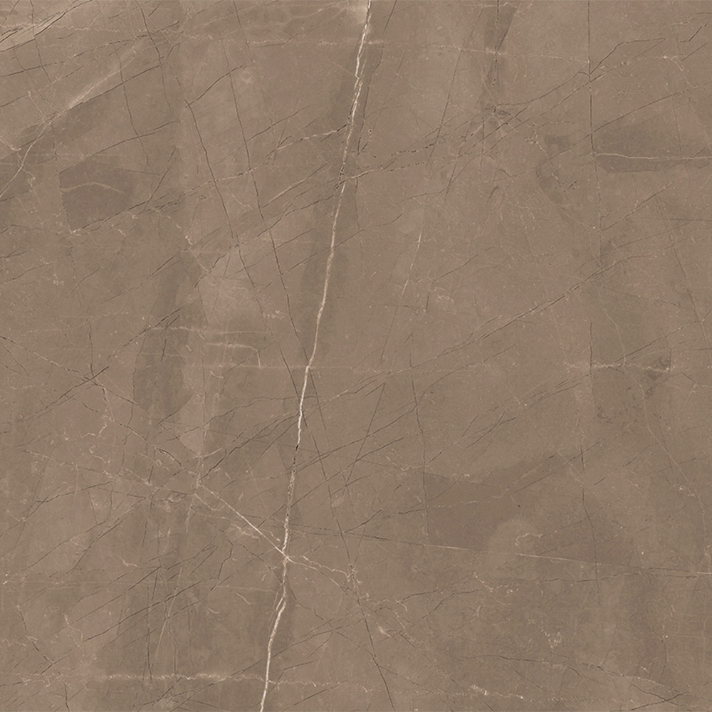 The Tile Life Windsor 12x12 Matte Porcelain Floor and Wall Tile
