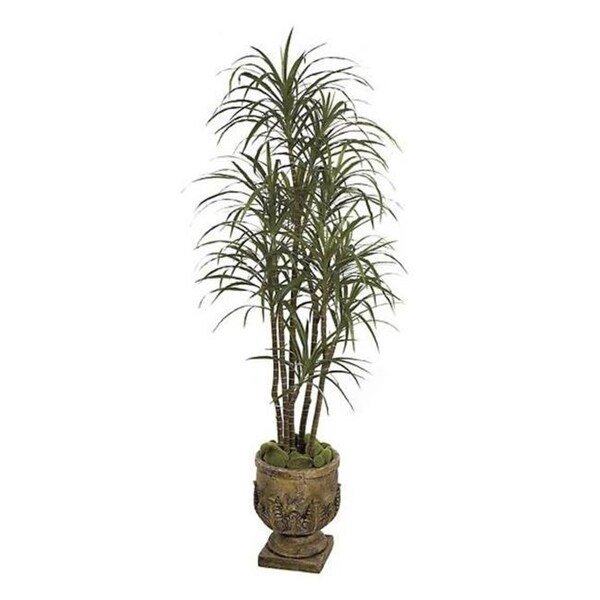 Autograph Foliages W-2770 - 6.5 Foot Dracaena Marginata - Green-Red