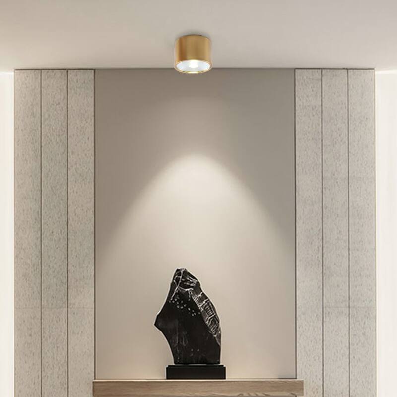 LED Flush Mount Ceiling Light Modern Light Fixtures Ceiling