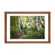 preview thumbnail 13 of 18, iCanvas "Birch Trees & Tall Grass" by Danny Head Walnut - 16x24x1