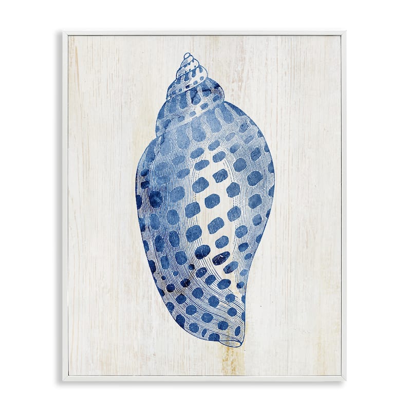 Stupell Spotted Blue Cowrie Shell Framed Giclee Art Design By Susan Arnot - 16 x 20 - White