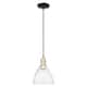 Option Black Antique Brass / Seedy