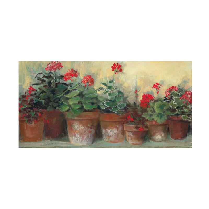 Carol Rowan 'Kathleens Geraniums' Canvas Art