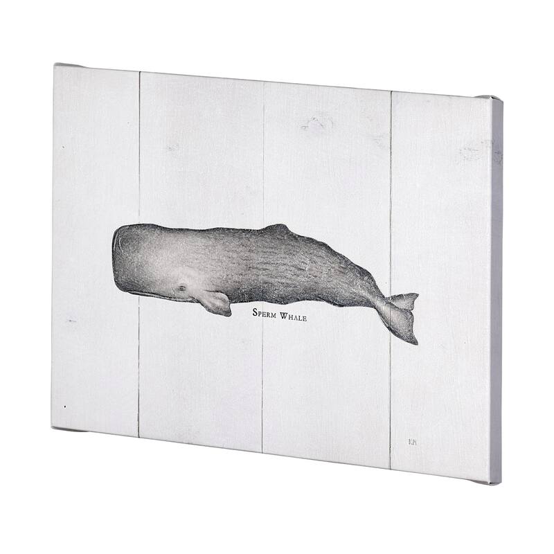 Sperm Whale (40 x 30) Canvas Art Print
