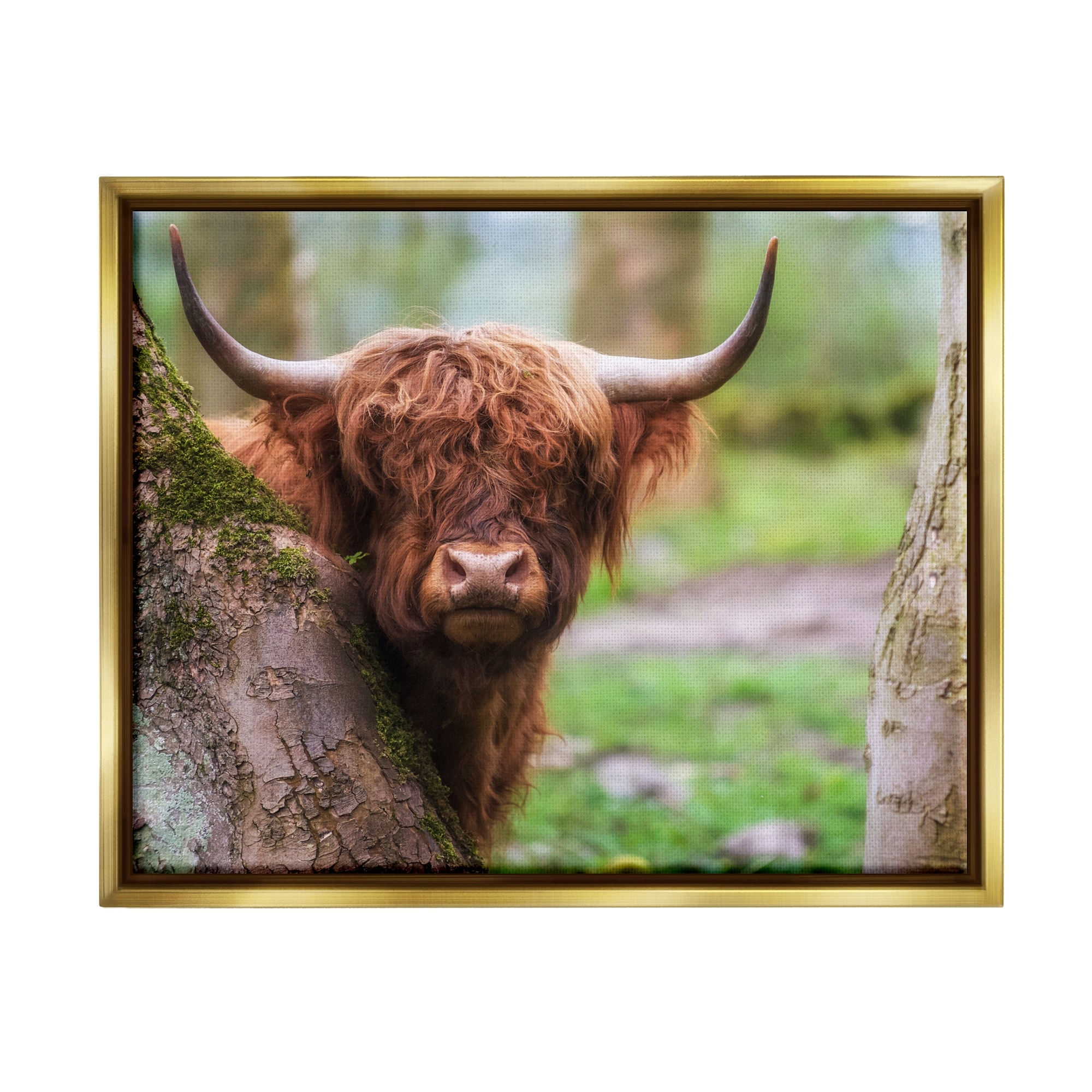 Stupell Highland Cattle Peering Between Trees Lush Nature Scene Floater  Frame, Design by James Dobson Bed Bath  Beyond 36614012