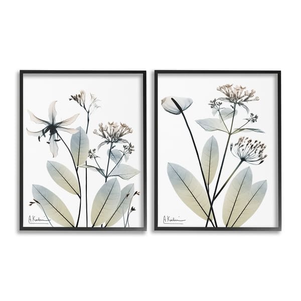 slide 2 of 34, Stupell Modern Budding Blooms Framed Giclee Art Design By Albert Koetsier (Set of 2) 11 x 14 - Black