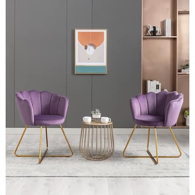 Modern Velvet Set Of 2 Living Room Chair