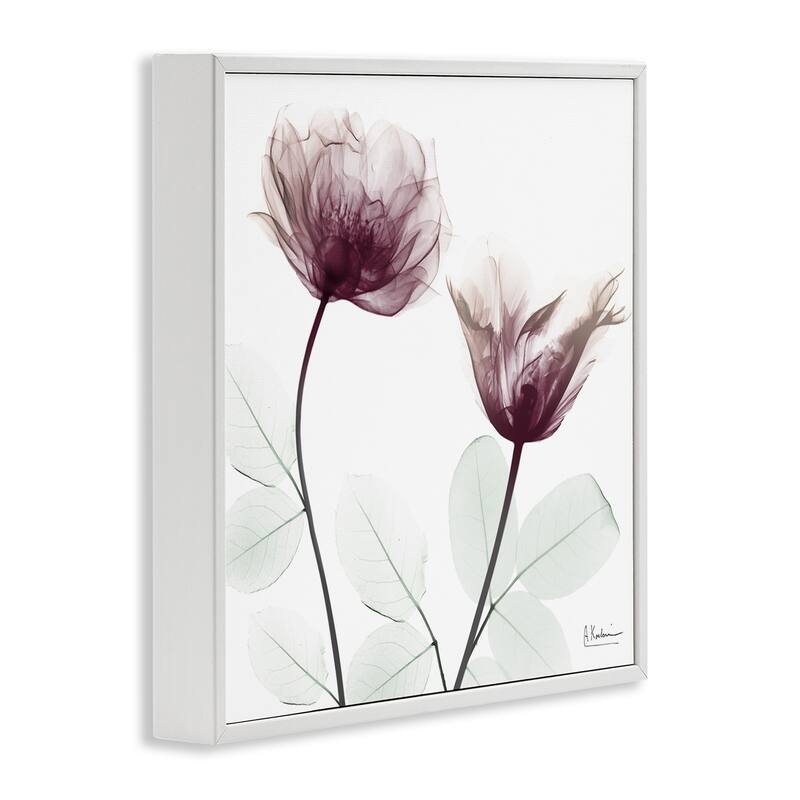 Stupell Minimalist Translucent Flowers Framed Giclee Art Design By Albert Koetsier