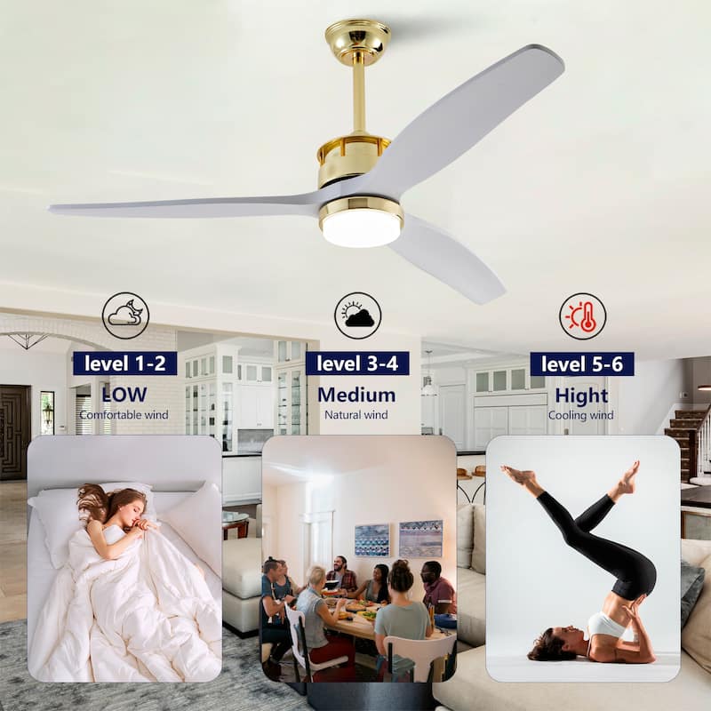 52" Ceiling Fans with Lights and Remote, 6 Speeds, Quiet DC Motor, Dimmable LED