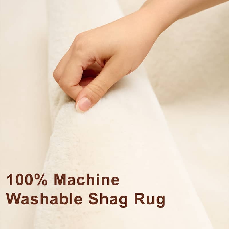 ECARPETGALLERY Argo Plush & Shags Machine Washable Area Rug
