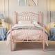 Option Pink