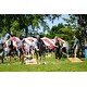 preview thumbnail 4 of 2, Shark on Wood Pattern Corn Hole Board Set