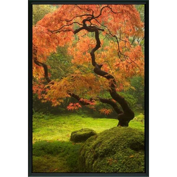 Shop Easy Art Prints William Sutton S Japanese Maple Premium