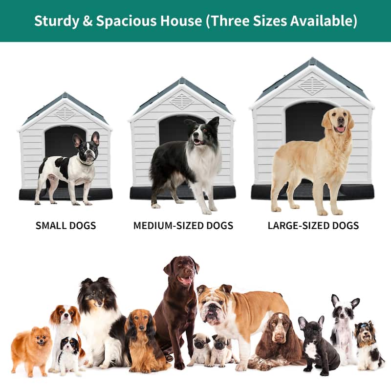 Moasis Plastic Dog House