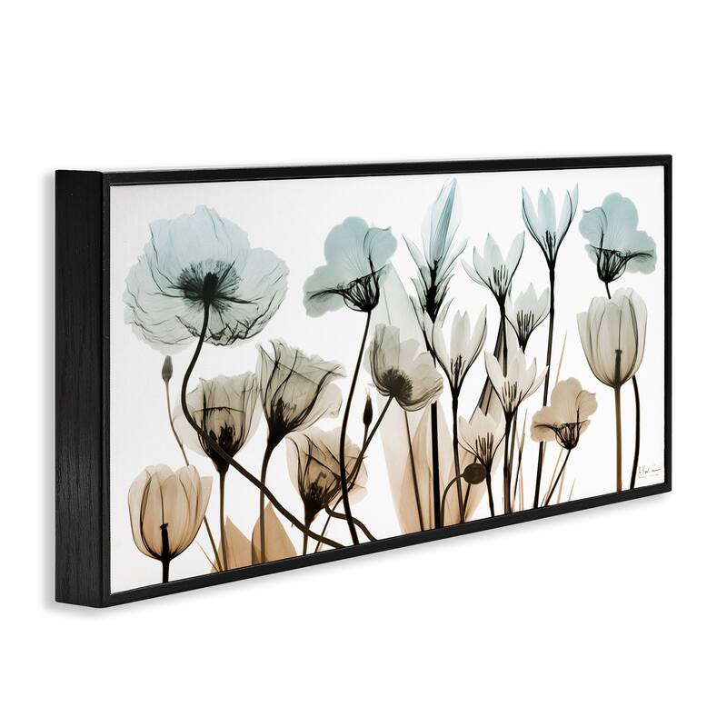 Stupell Mixed X-Ray Flowers Framed Giclee Art Design by Albert Koetsier
