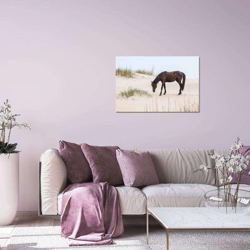 Lone Banker Horse On The Beach, Outer Banks, North Carolina, USA Print On Acrylic Glass by Michael DeFreitas