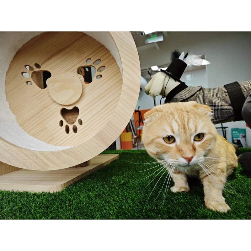 Outdoor Artificial Grass Runner Rug, Thick Grass Roll Decor Patio Balcony Garden Lawn, Dog Pets Turf Drain Mat