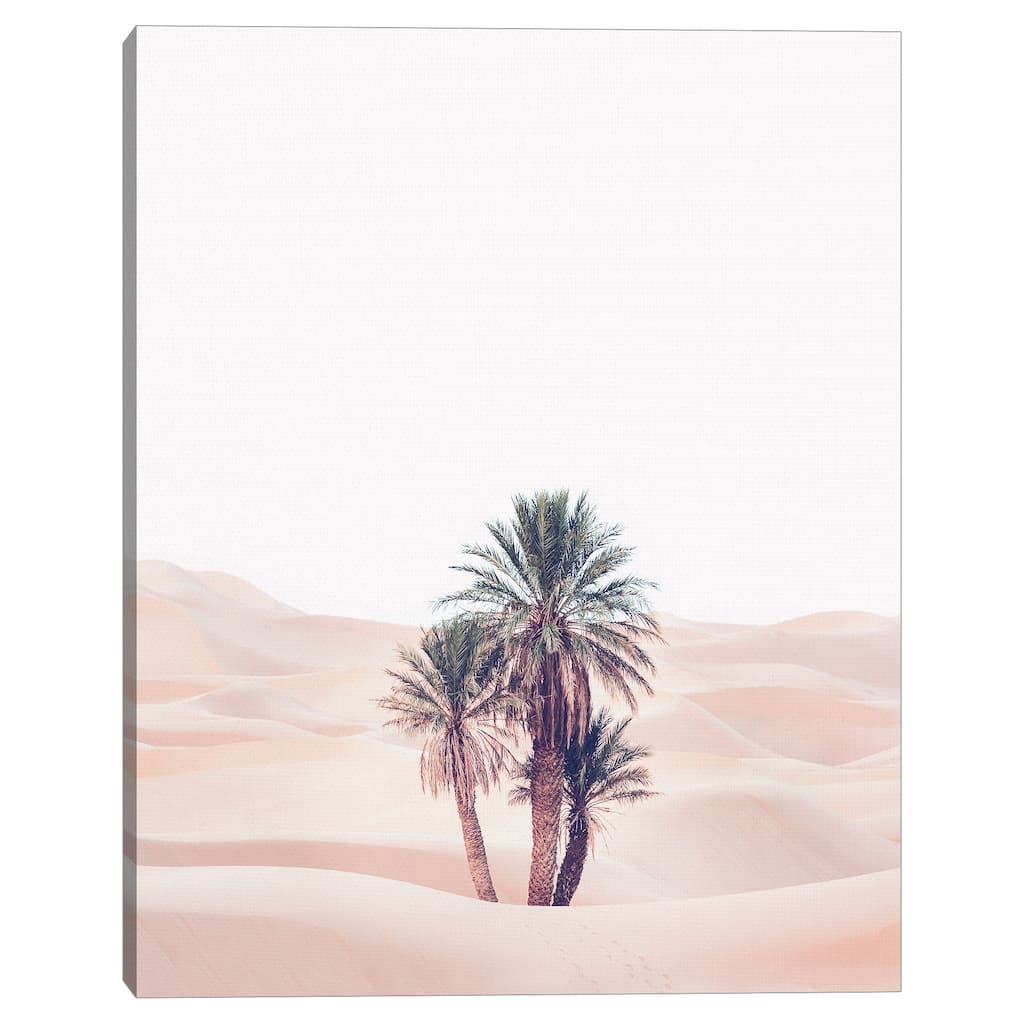 Oasis 2 by Sisi and Seb Canvas Art Print