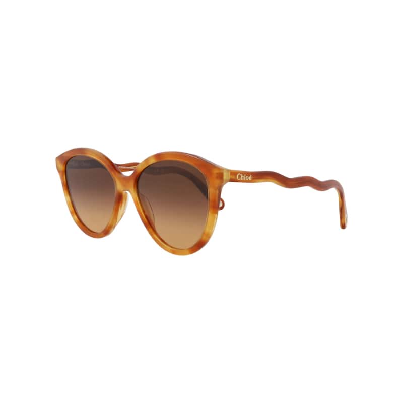 Chloé Round-Frame Bio Acetate Sunglasses