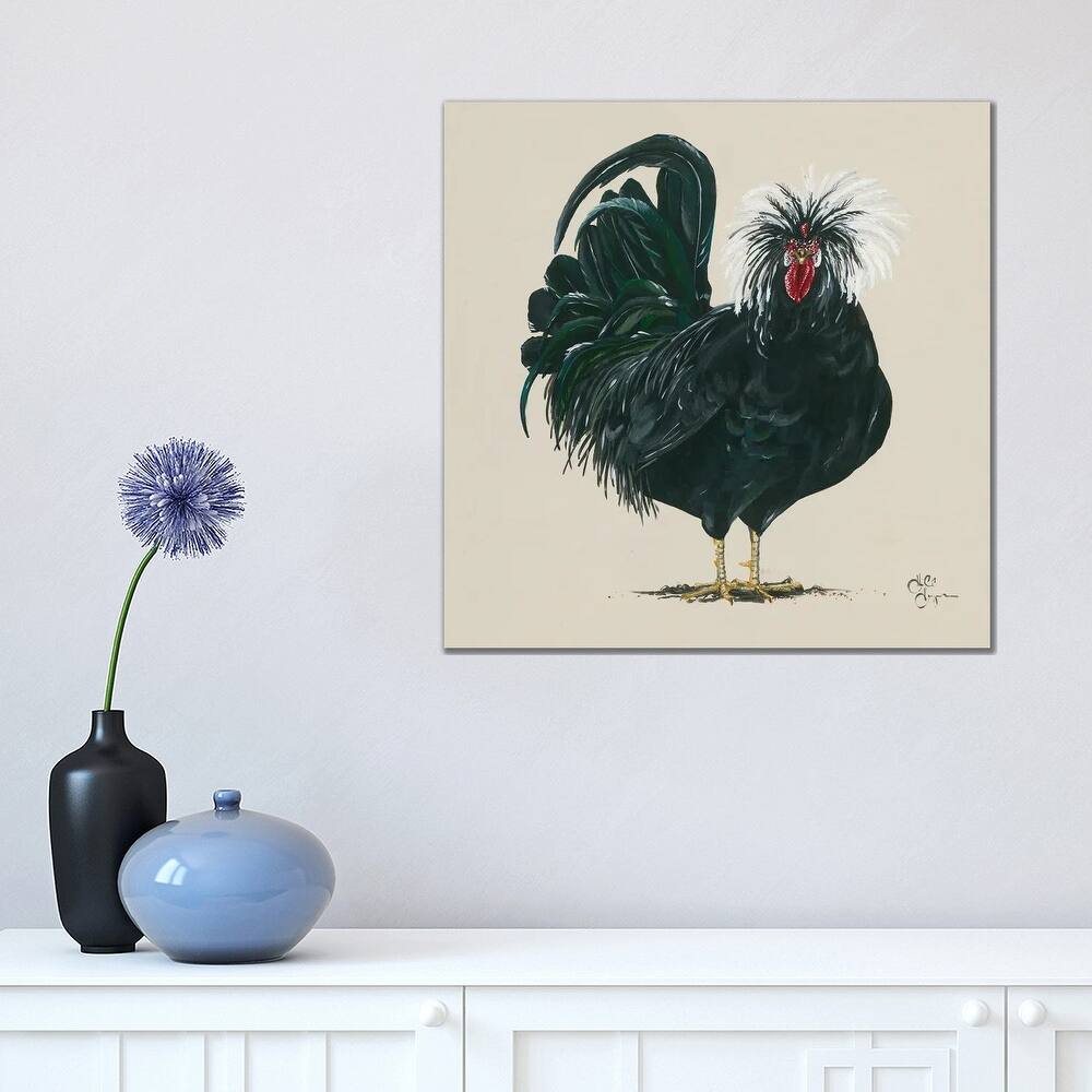 iCanvas "Chicken" by Hollihocks Art Canvas Print