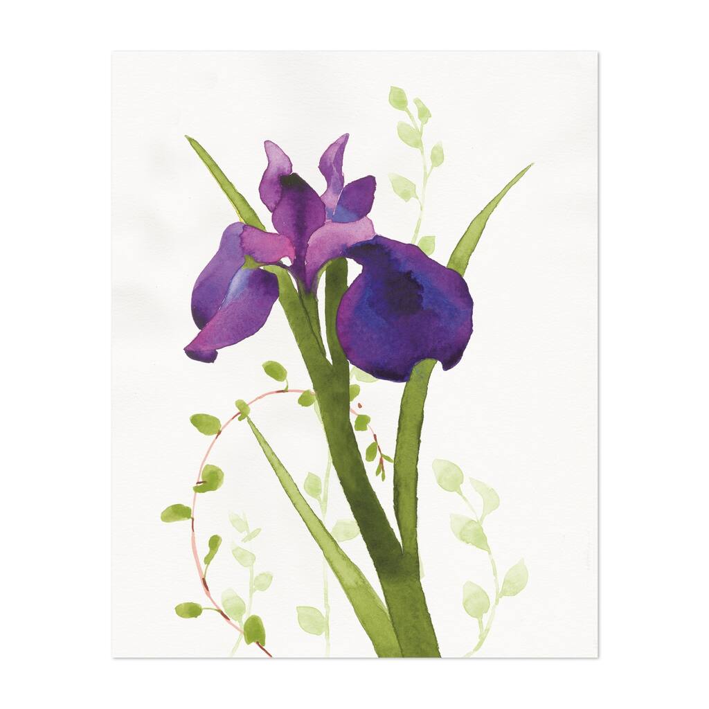 Some Favorites I Painting Floral Botanical Nature Art Print/Poster