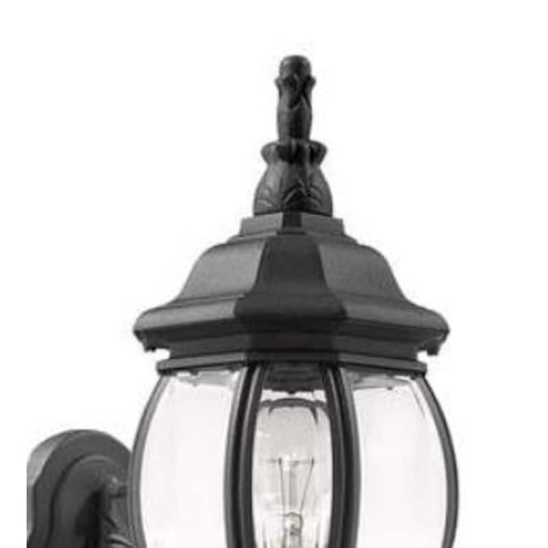 Rustic and Traditional 1 Light Outdoor Wall Light in Black