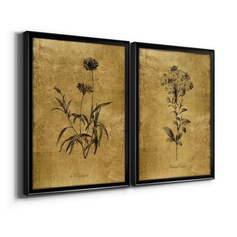 Gold Sketch Botanical I Premium Framed Print - Ready to Hang - Multi-Color