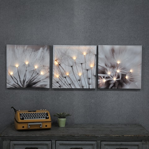 Set of 3 Dandelion Lighted Gallery-Wrapped Canvas Prints