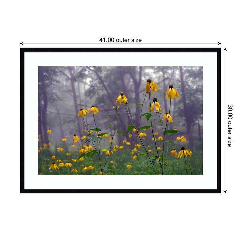 Coneflower by Kelly Sinclair Wood Framed Wall Art Print