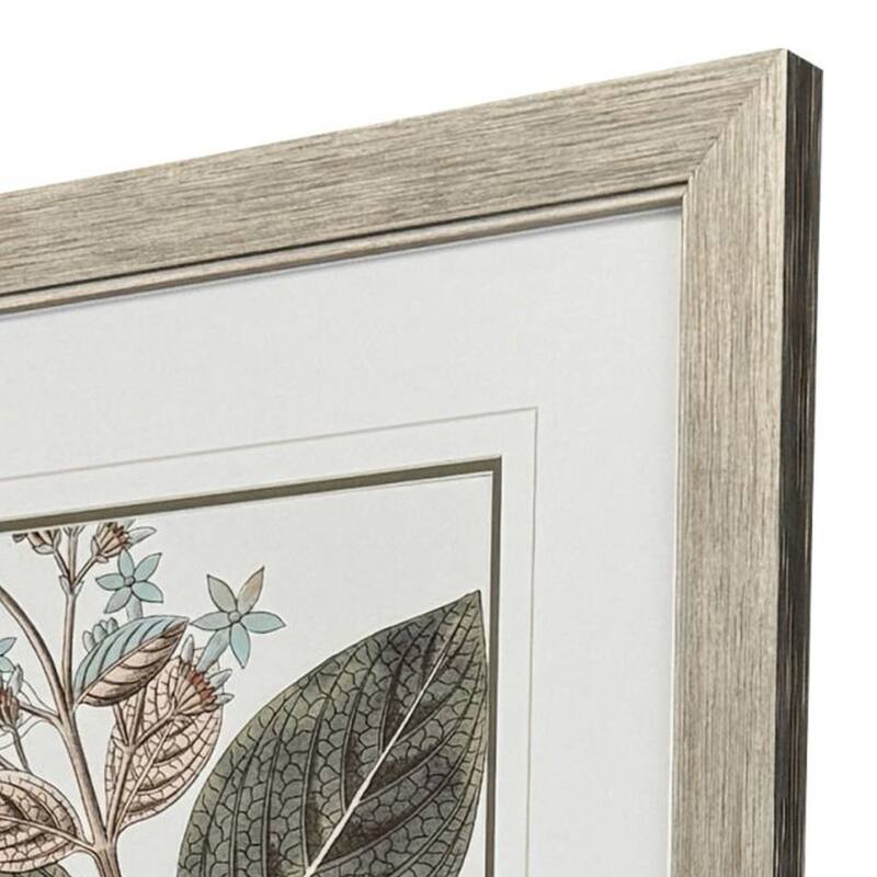 Paragon Flowering Botanical III Framed Art