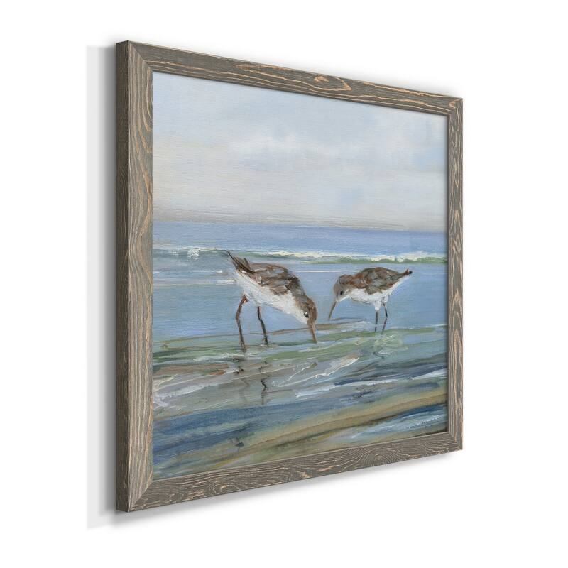 Seabird Beach II-Premium Framed Canvas - Ready to Hang