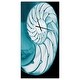 preview thumbnail 4 of 11, Designart 'Chambered Nautilus Shell' Oversized Coastal Wall CLock