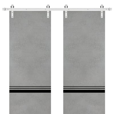 Sturdy Double Barn Door 36 x 80 with Planum 0012 Concrete with 13FT