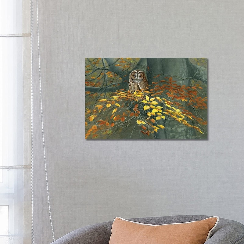iCanvas "Tawny Owl Autumn" by Jeremy Paul Canvas Print - 18x26x1.5