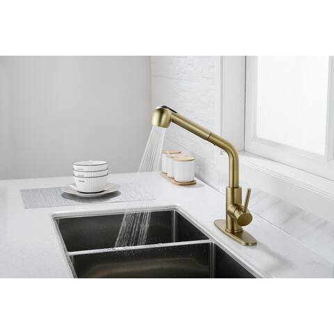 Single Handle Kitchen and Bathroom Faucets with Pull Down Sprayer