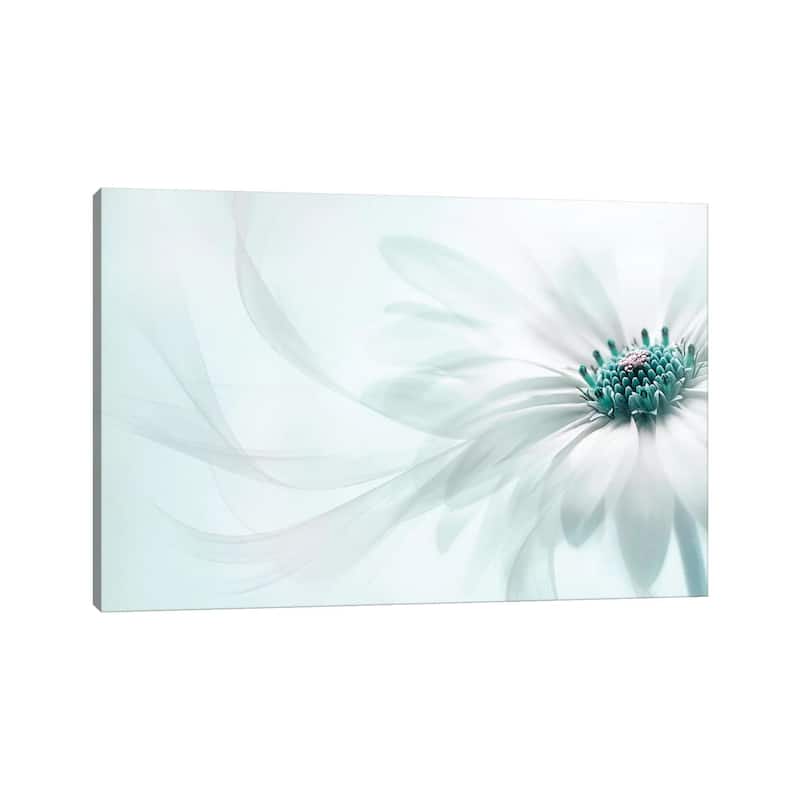 iCanvas "Purity" by Jacky Parker Canvas Print