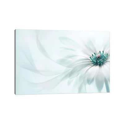 iCanvas "Purity" by Jacky Parker Canvas Print