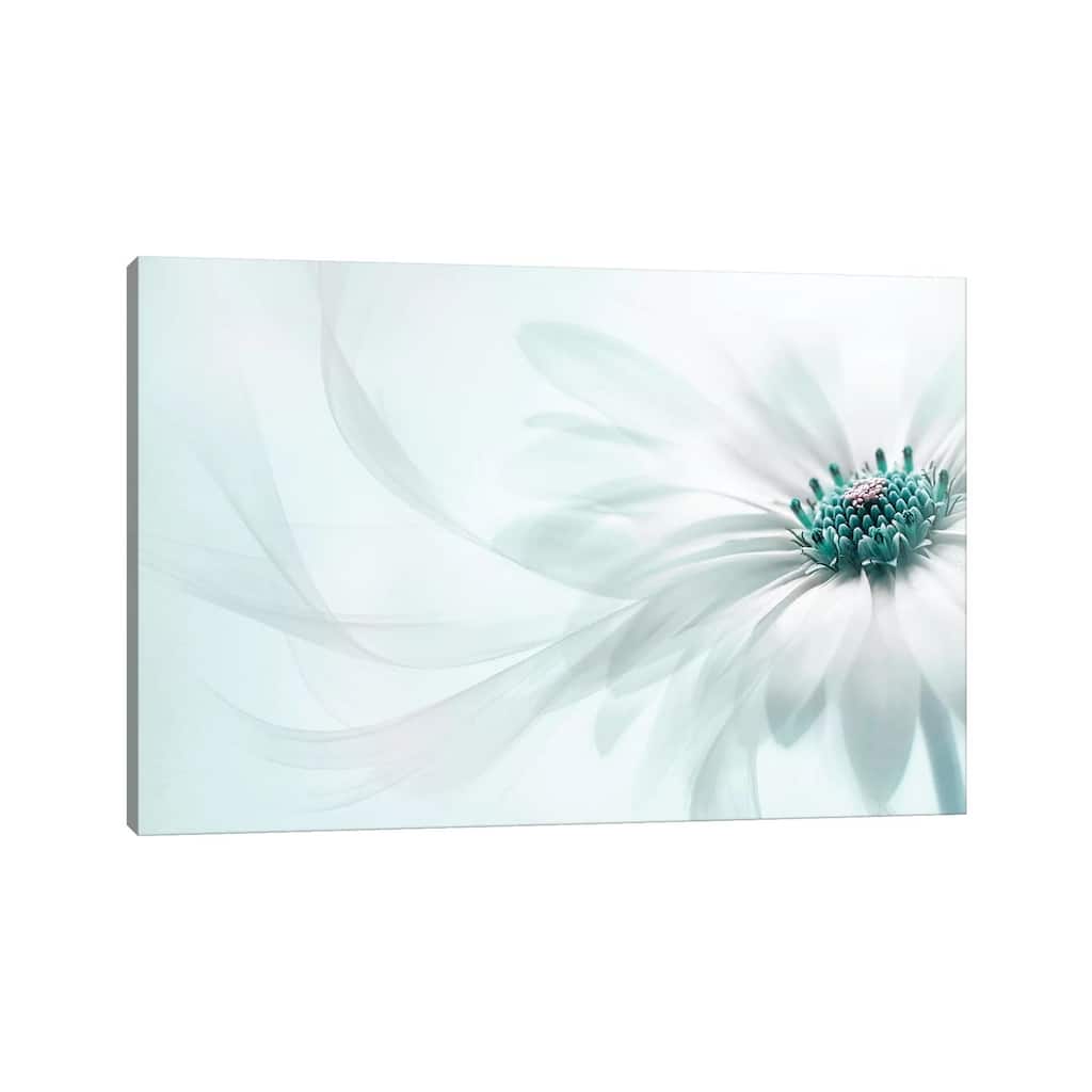 iCanvas "Purity" by Jacky Parker Canvas Print