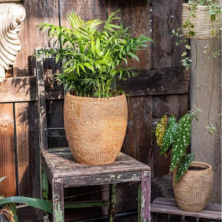 RusticReach Faux Grass-Woven Cement Planter