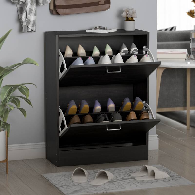 Timechee Black 2-Drawer Shoe Cabinet with 4-Tier Rack (Up to 12 Pairs)
