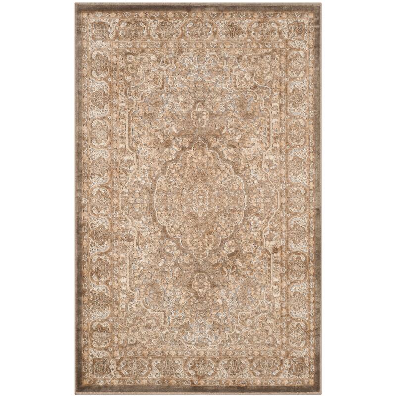 SAFAVIEH Paradise Beatrix Modern Viscose Rug - 2'7" x 4' - Mouse/Silver