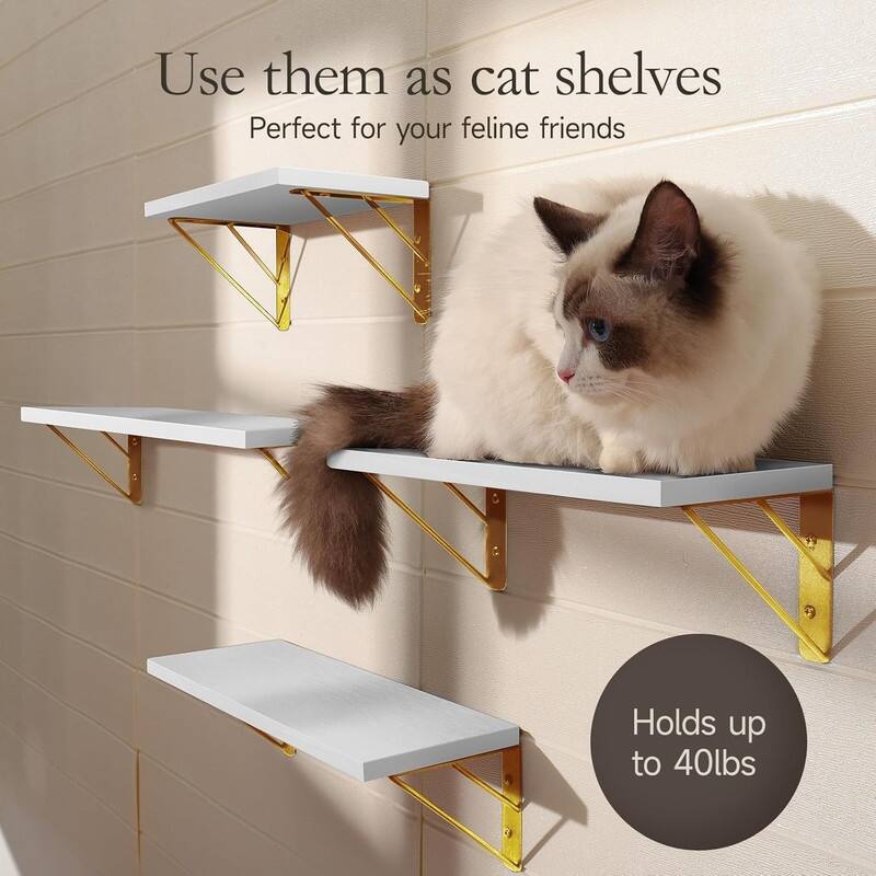 Wall Shelves for Bedroom Decor, Floating Shelves - 5.5"D x 16.5"W x 2.4"H