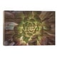 Black Rose Print On Wood by Barbara Markoff - Multi-Color - Bed Bath ...
