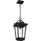preview thumbnail 2 of 5, Darius 1-Light Outdoor Hanging Lantern in Earth Black