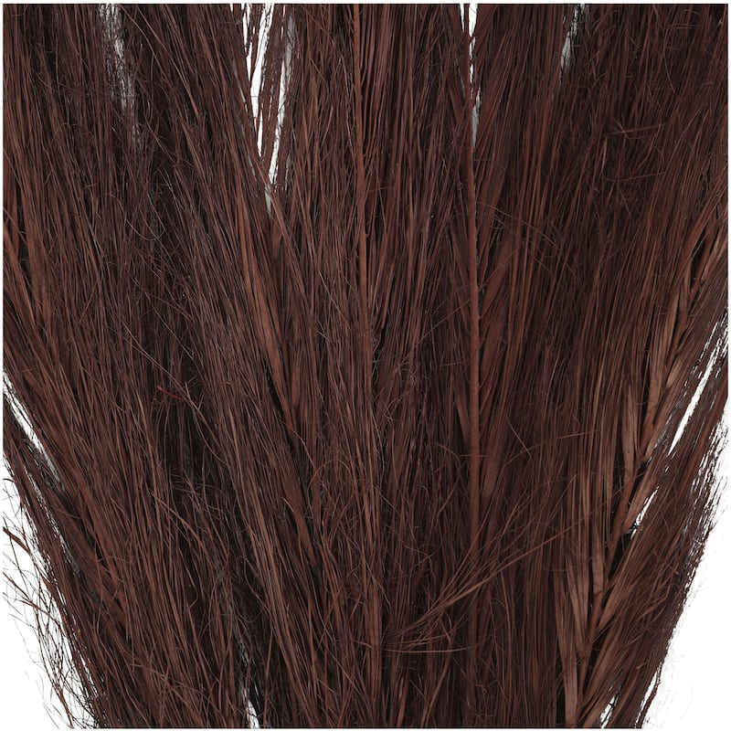 Dried Plant Feather Like Leaves Floral Bouquet Home Decor Natural Foliage with Stems - White, Brown, Green - Roche River Decor