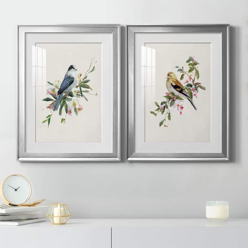 Spring Song Gray Jay Premium Framed Print - Ready to Hang