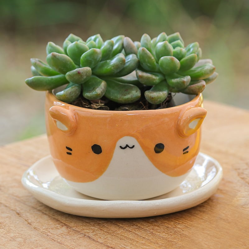Novica Handmade Kitty Energy Ceramic Mini Flower Pot