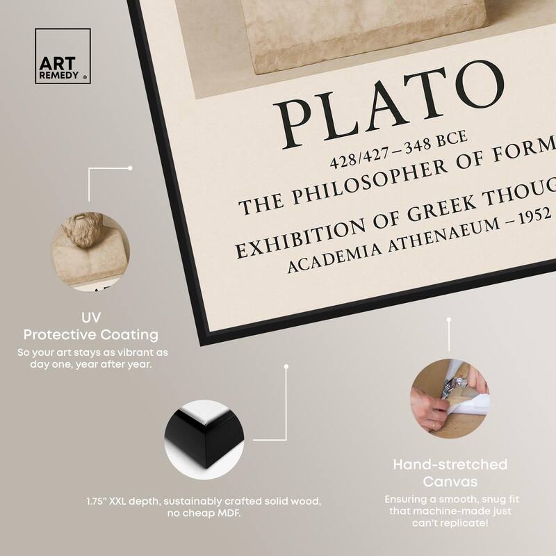 Philosopher of Forms Canvas by Art Remedy