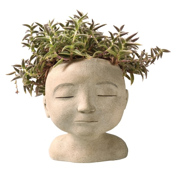 pot plant wall hanger Potted Wall Display And 5 Plant Pots