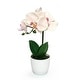 preview thumbnail 18 of 20, Artificial Phalaenopsis Orchid Flower Arrangement in White Pot 13in 13" H x 7.5" W x 5" DP - Blush Peach